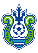 Team logo